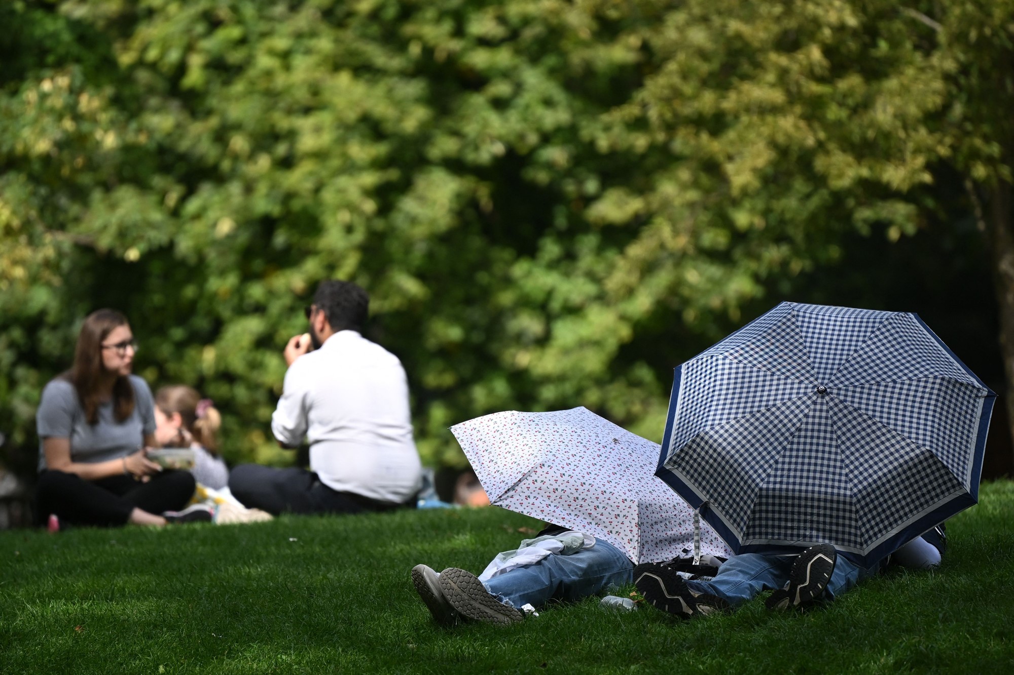 Brits take shelter in St James's Park in central London