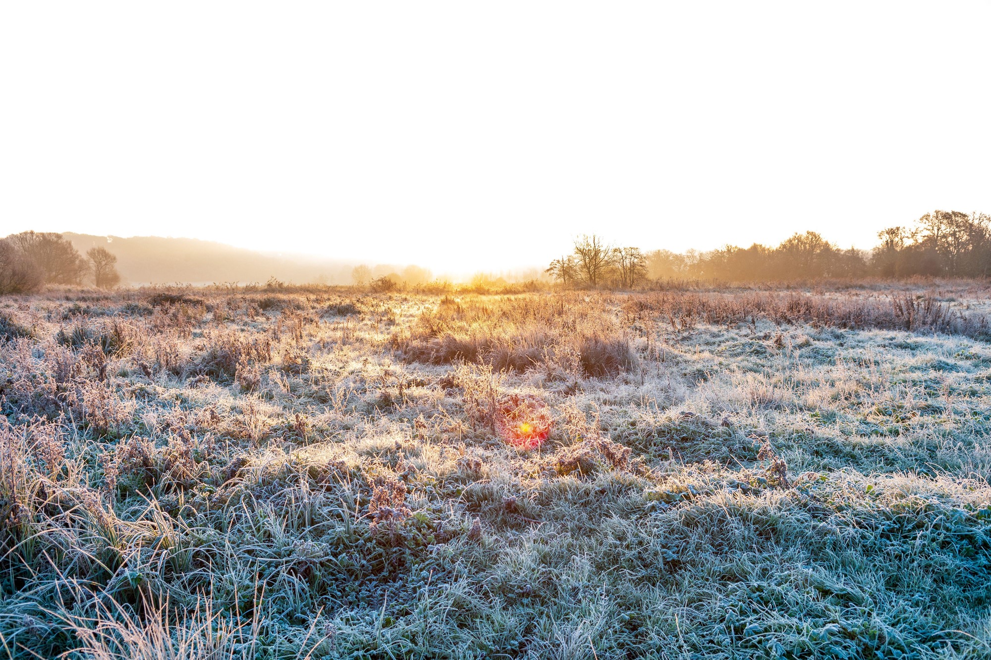 Avon Valley, New Forest, Hampshire, UK, 1st December 2023: Weather. Frosty start to winter in the countryside