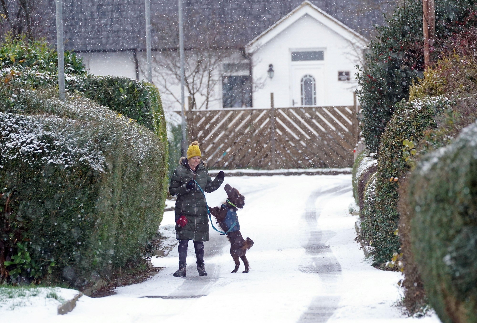 A woman with her dog in snow in Swarland, Northumberland