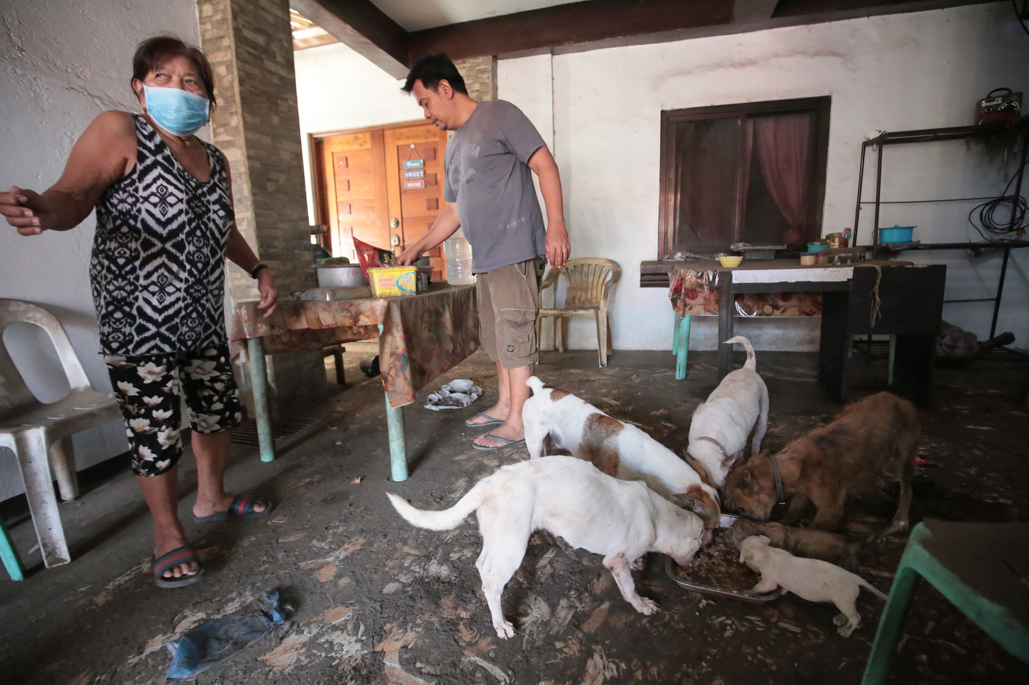 Manny Arandia feeds his dog after the lockdown was lifted in Lemery, Batangas two weeks following Taal Volcano's eruption. Phivolcs lowered the volcano's alert level to 3 on Sunday morning, January 26. 
